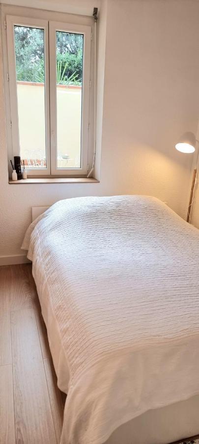 Apartamento Sur Un Nuage - Terrasse - Gare - Hypercentre Toulouse Exterior foto